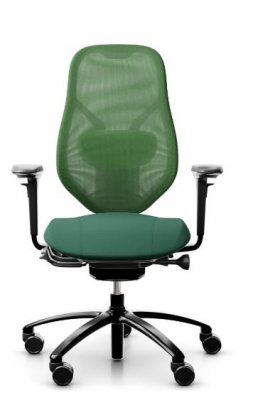 RH mereo mesh