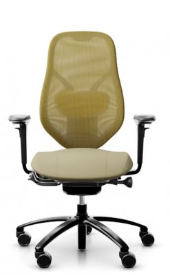 RH mereo mesh